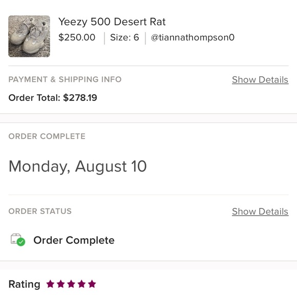 Yeezy 500 Dessert Rat - Picture 9 of 9